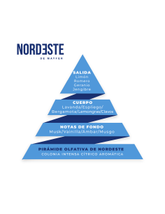 Colonia Noreste de Mayfer 200ml 2